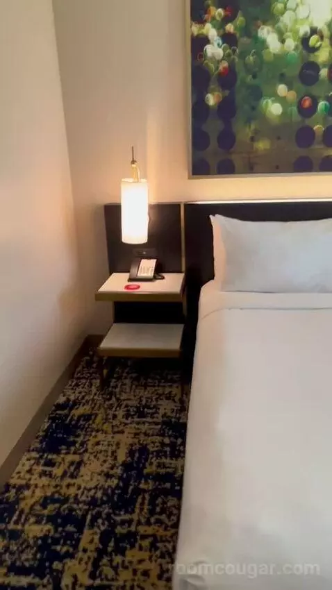 Panoramic View Deluxe - One King Bed (#13128) picture #20