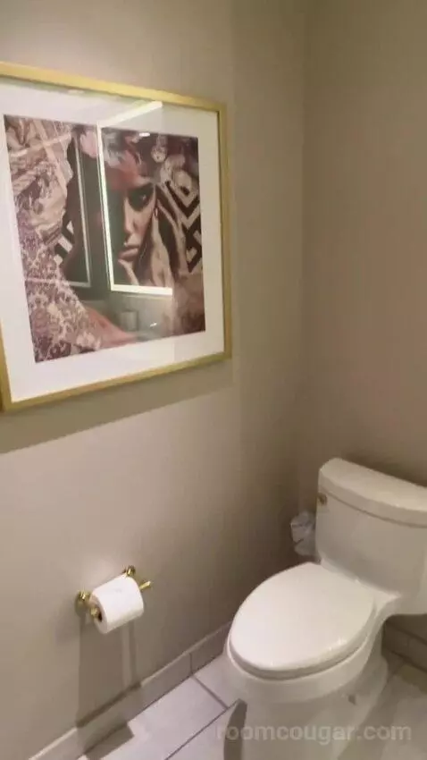 Panoramic View Deluxe - One King Bed (#13128) bathroom picture #1