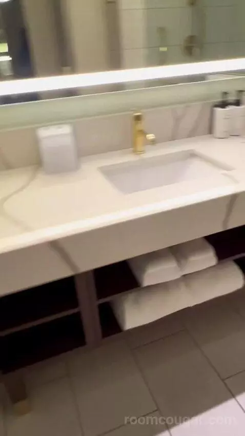 Panoramic View Deluxe - One King Bed (#13128) bathroom picture #4