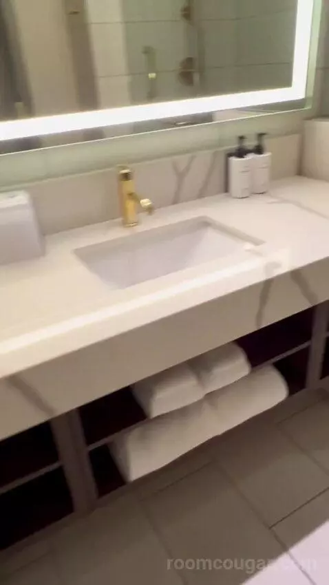 Panoramic View Deluxe - One King Bed (#13128) bathroom picture #5