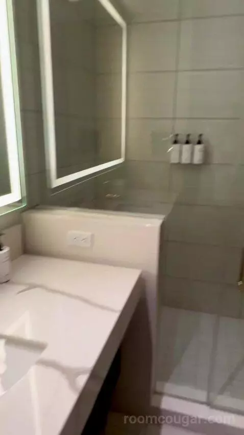 Panoramic View Deluxe - One King Bed (#13128) bathroom picture #7