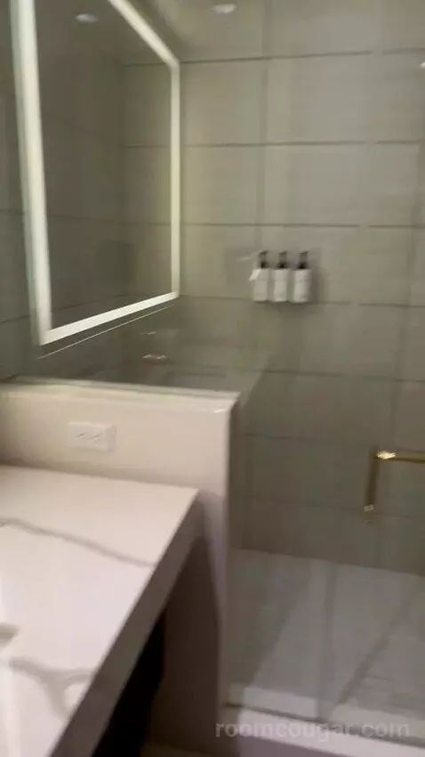 Panoramic View Deluxe - One King Bed (#13128) bathroom picture #8