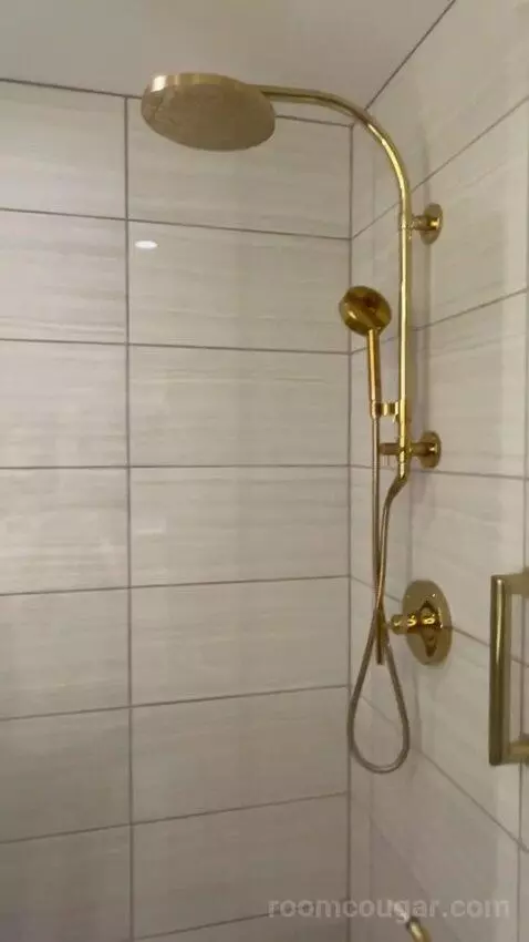 Panoramic View Deluxe - One King Bed (#13128) bathroom picture #12