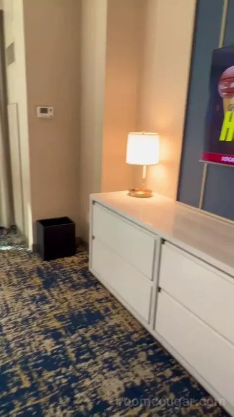 Panoramic View Deluxe - One King Bed (#13128) picture #8