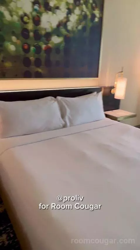 Panoramic View Deluxe - One King Bed (#13128) bed picture #1