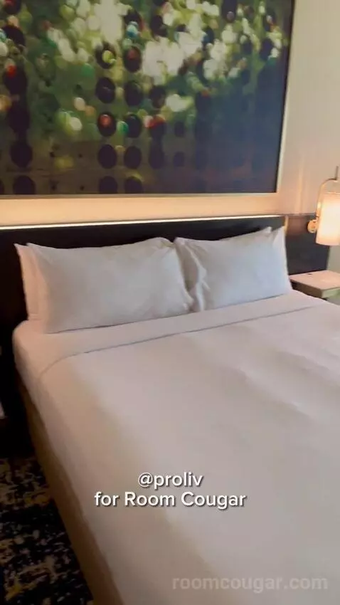 Panoramic View Deluxe - One King Bed (#13128) picture #9