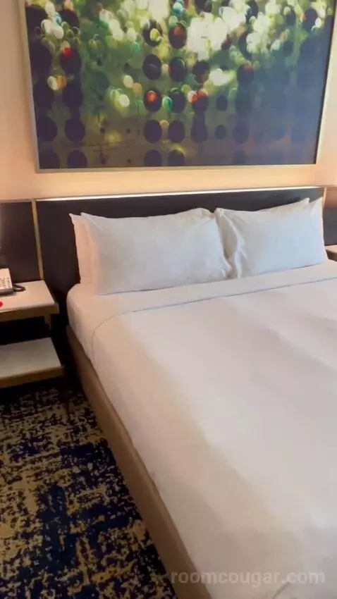 Panoramic View Deluxe - One King Bed (#13128) bed picture #3