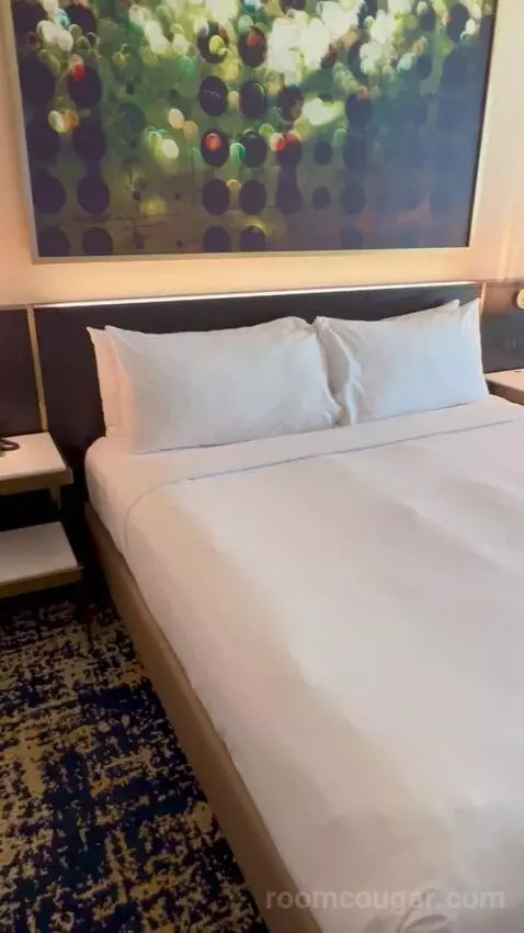 Panoramic View Deluxe - One King Bed (#13128) picture #10