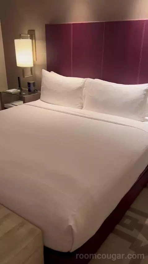 Crockfords Las Vegas, LXR Hotels & Resorts at Resorts World Superior King Room with Strip View review by proliv