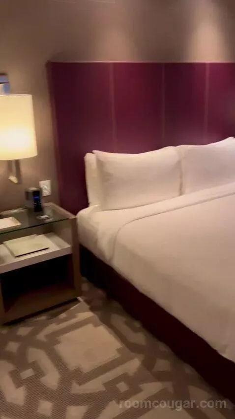 Superior King Room with Strip View (#62168) bed picture #7