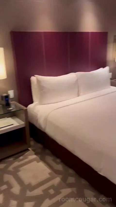 Superior King Room with Strip View (#62168) picture #15