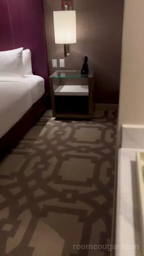 Superior King Room with Strip View (#62168) picture #4