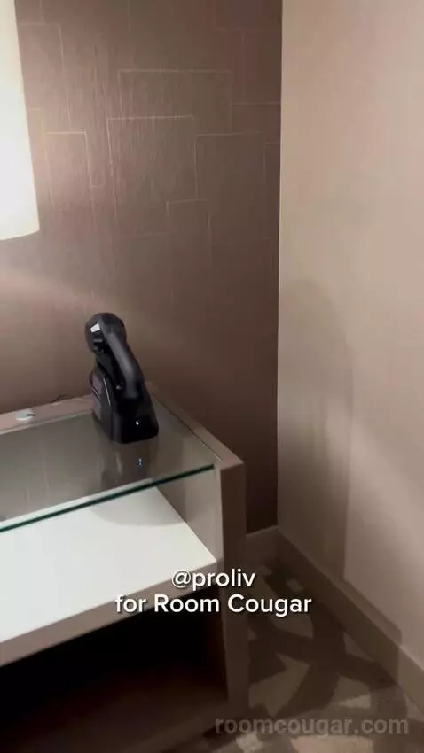 Superior King Room with Strip View (#62168) picture #5