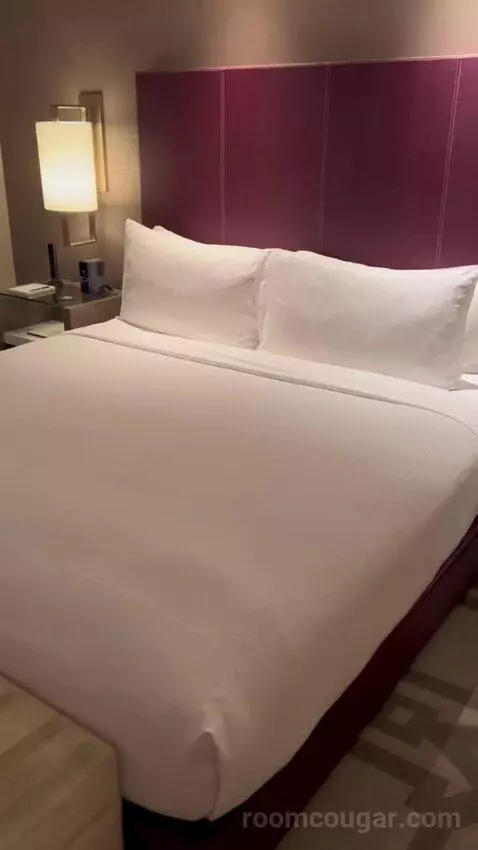 Superior King Room with Strip View (#62168) bed picture #1