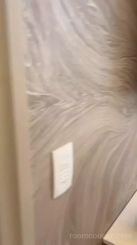 One-Bedroom Entertainment Suite with City View (#65180) picture #13