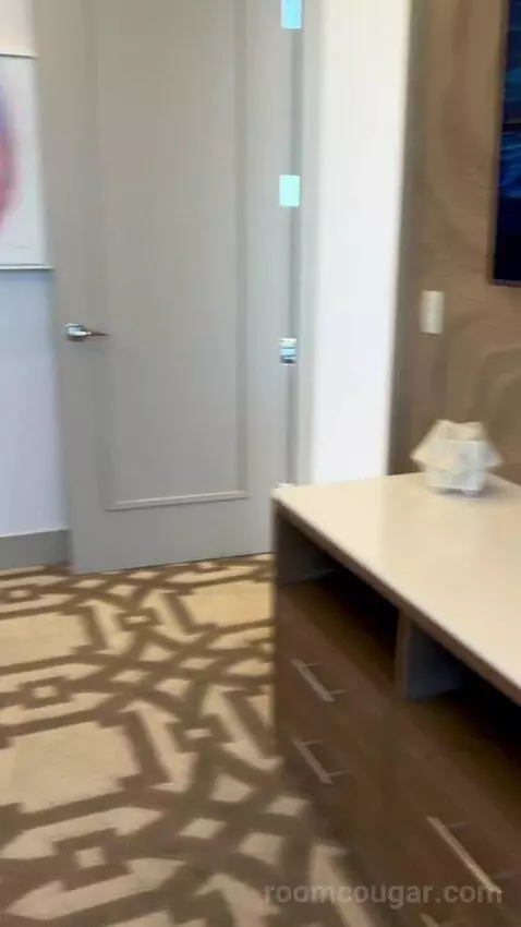 One-Bedroom Entertainment Suite with City View (#65180) picture #14