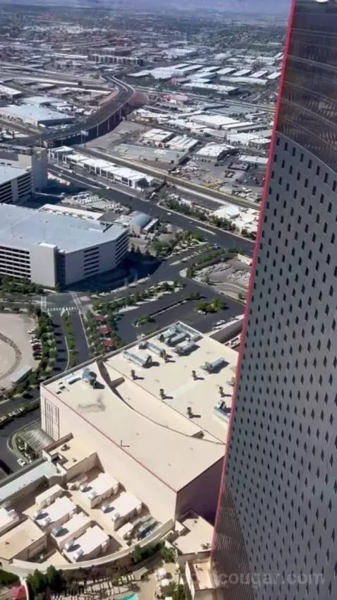 One-Bedroom Entertainment Suite with City View (#65180) view picture #6