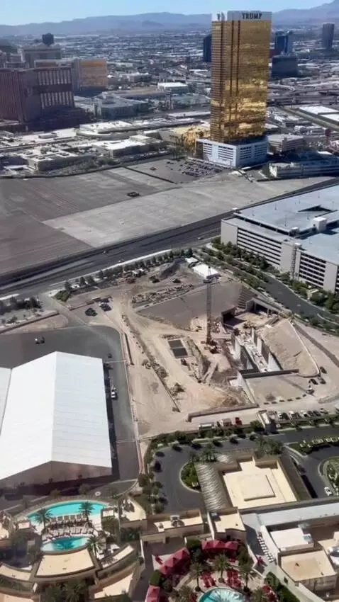 One-Bedroom Entertainment Suite with City View (#65180) view picture #9