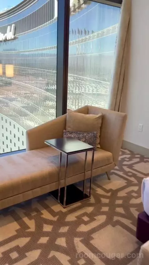 One-Bedroom Entertainment Suite with City View (#65180) picture #17