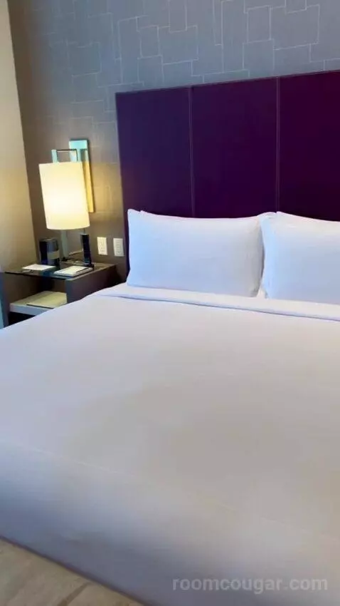 One-Bedroom Entertainment Suite with City View (#65180) bed picture #4