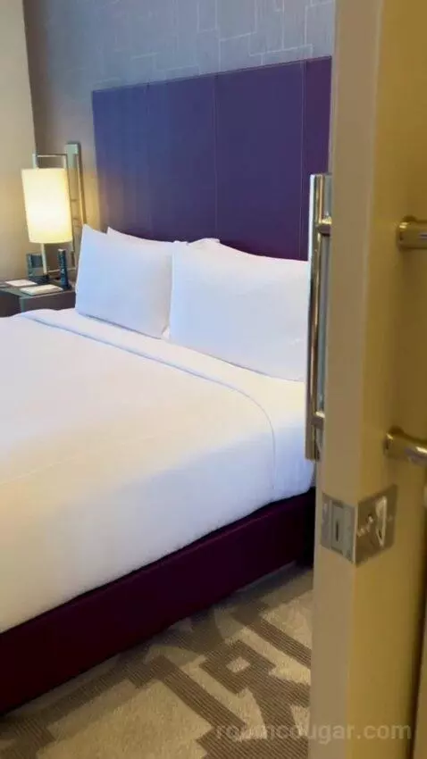 One-Bedroom Entertainment Suite with City View (#65180) bed picture #8