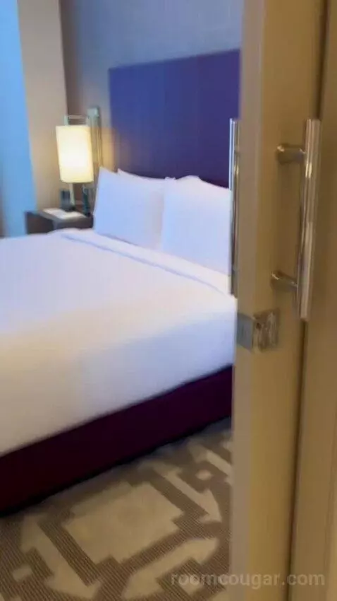 One-Bedroom Entertainment Suite with City View (#65180) bed picture #11