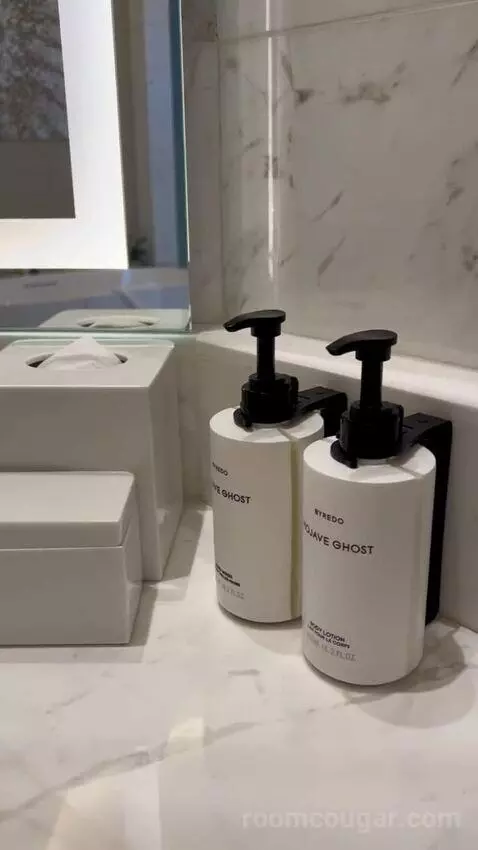 One-Bedroom Entertainment Suite with City View (#65180) bathroom picture #5