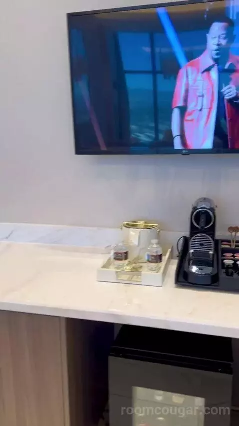 One-Bedroom Entertainment Suite with City View (#65180) picture #3