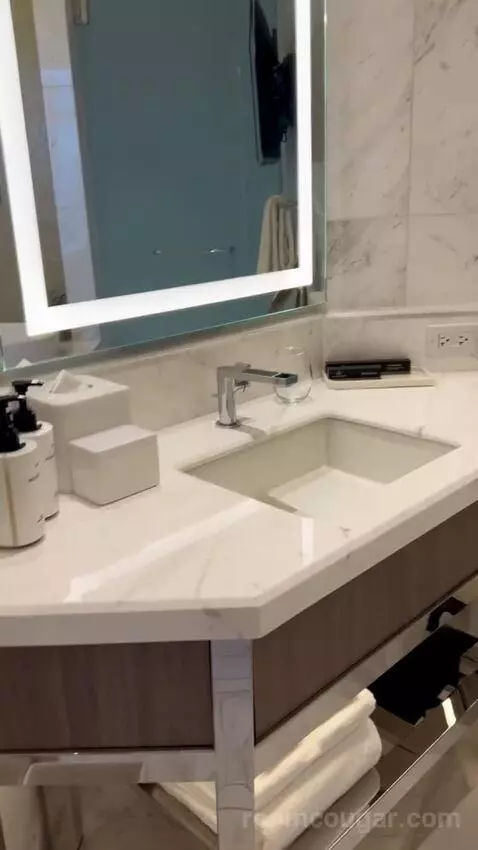 One-Bedroom Entertainment Suite with City View (#65180) bathroom picture #9