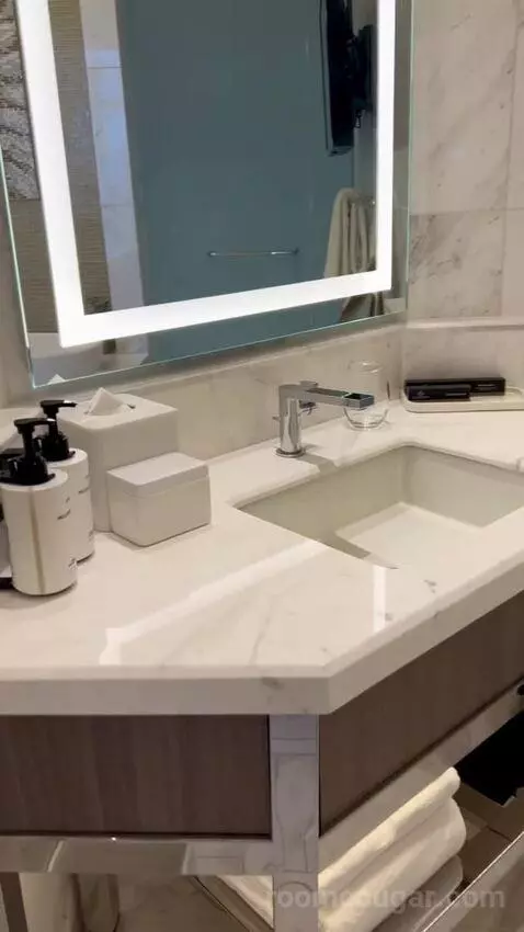 One-Bedroom Entertainment Suite with City View (#65180) bathroom picture #10