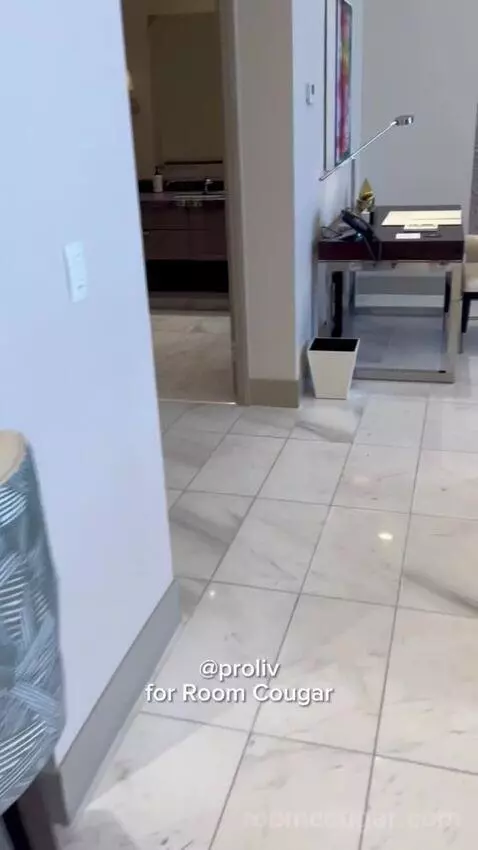 One-Bedroom Entertainment Suite with City View (#65180) picture #6