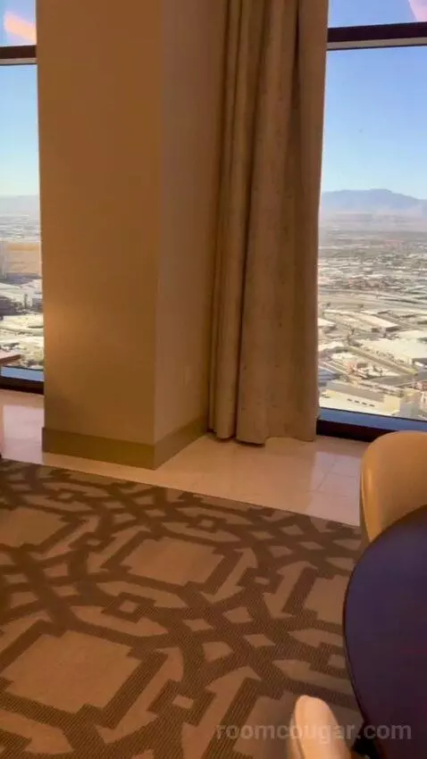 One-Bedroom Entertainment Suite with City View (#65180) picture #10