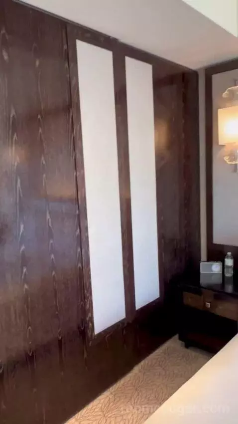 King Room with Vegas Strip View (#1803) picture #11