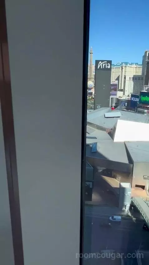 King Room with Vegas Strip View (#1803) picture #8