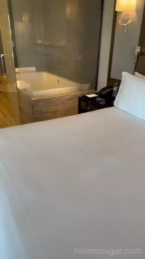 Waldorf Astoria Las Vegas One Bedroom King Suite review by proliv