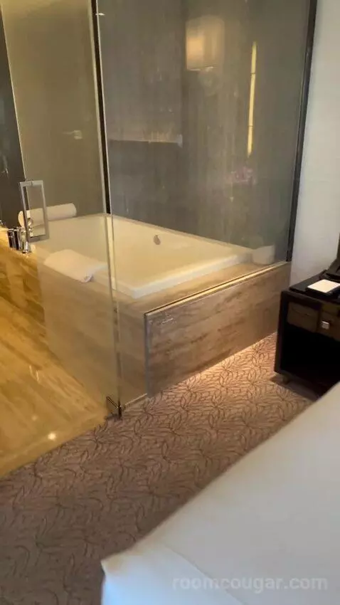 One Bedroom King Suite (#1901) picture #14