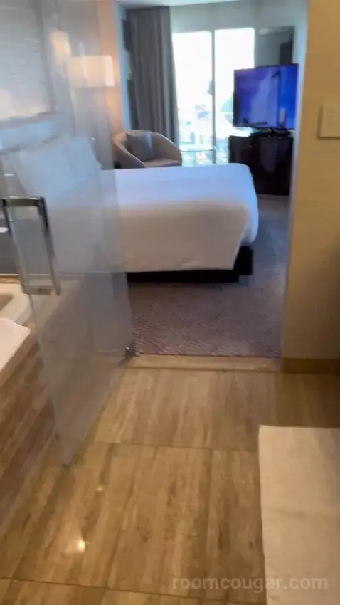 One Bedroom King Suite (#1901) picture #16