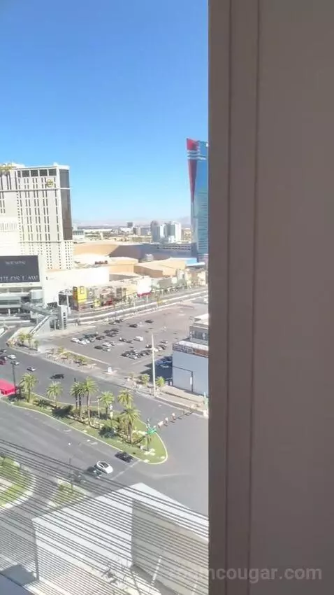 One Bedroom King Suite (#1901) view picture #1