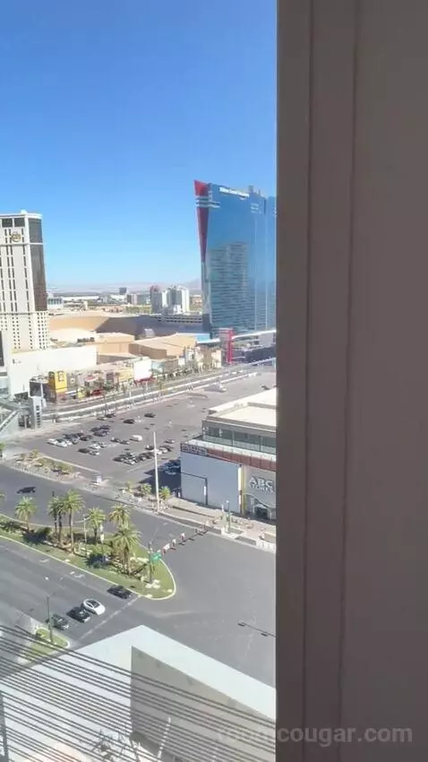 One Bedroom King Suite (#1901) view picture #2