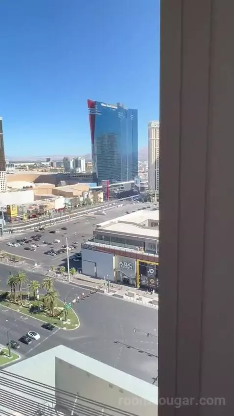 One Bedroom King Suite (#1901) view picture #3