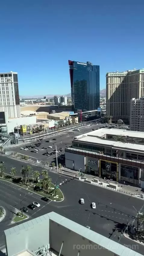 One Bedroom King Suite (#1901) view picture #4