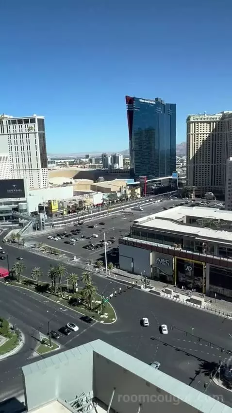 One Bedroom King Suite (#1901) view picture #5