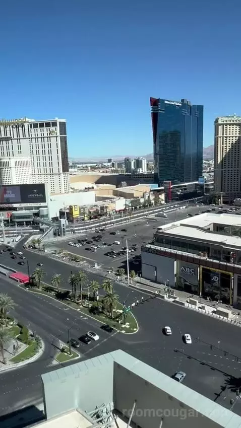 One Bedroom King Suite (#1901) view picture #6