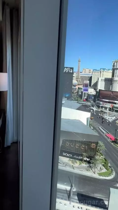 One Bedroom King Suite (#1901) view picture #7