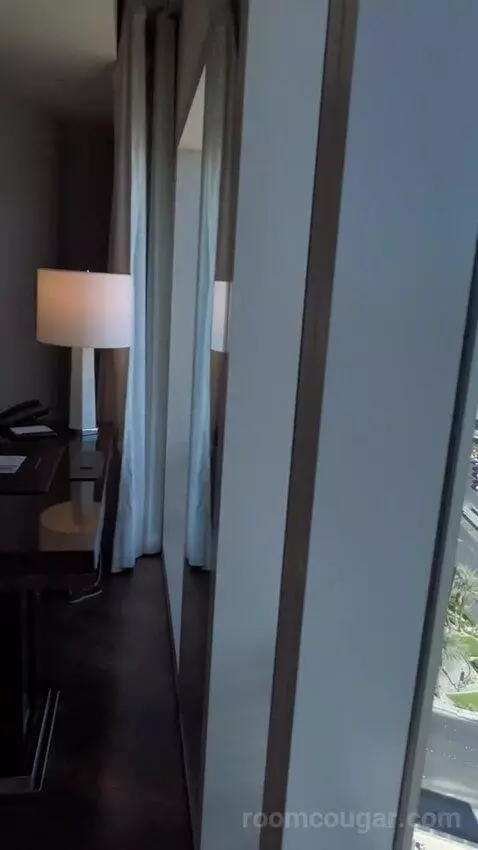 One Bedroom King Suite (#1901) view picture #9