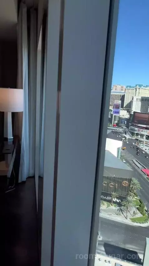 One Bedroom King Suite (#1901) picture #8