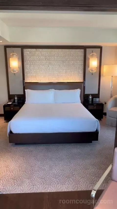 One Bedroom King Suite (#1901) picture #9