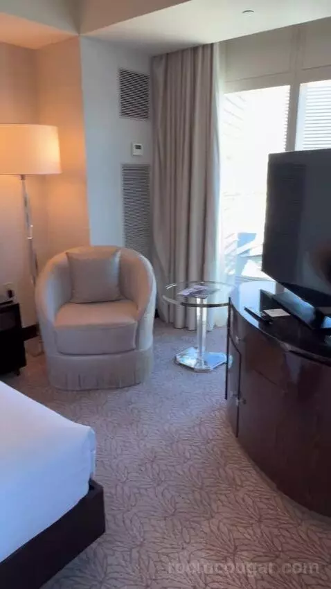 One Bedroom King Suite (#1901) picture #10