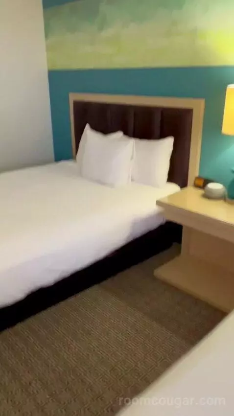 Grand Deluxe 2 Queen Beds (#2030) picture #14