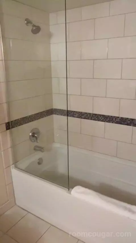 Grand Deluxe 2 Queen Beds (#2030) bathroom picture #10